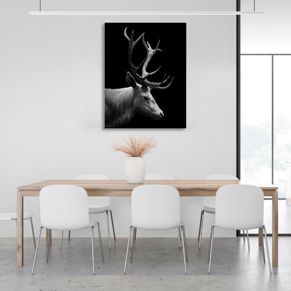 Deer on a black background Canvas Wall Art Print