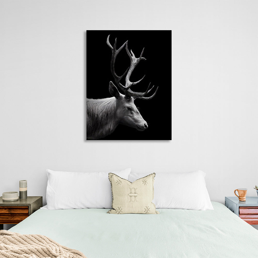 Deer on a black background Canvas Wall Art Print