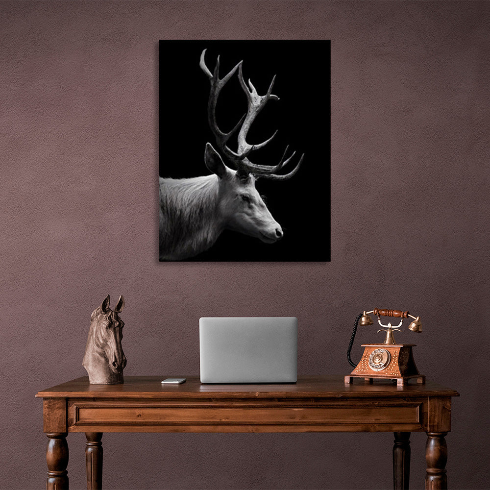 Deer on a black background Canvas Wall Art Print