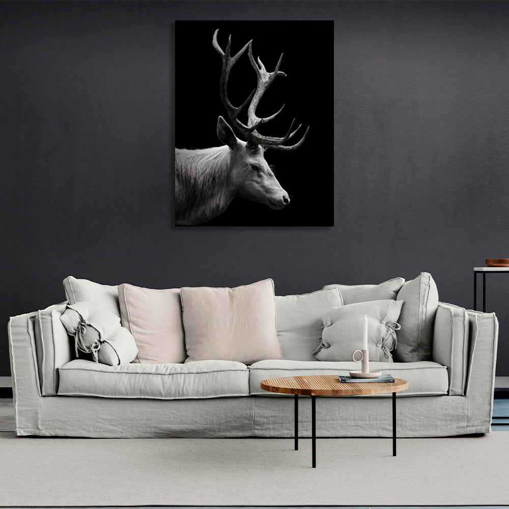 Deer on a black background Canvas Wall Art Print