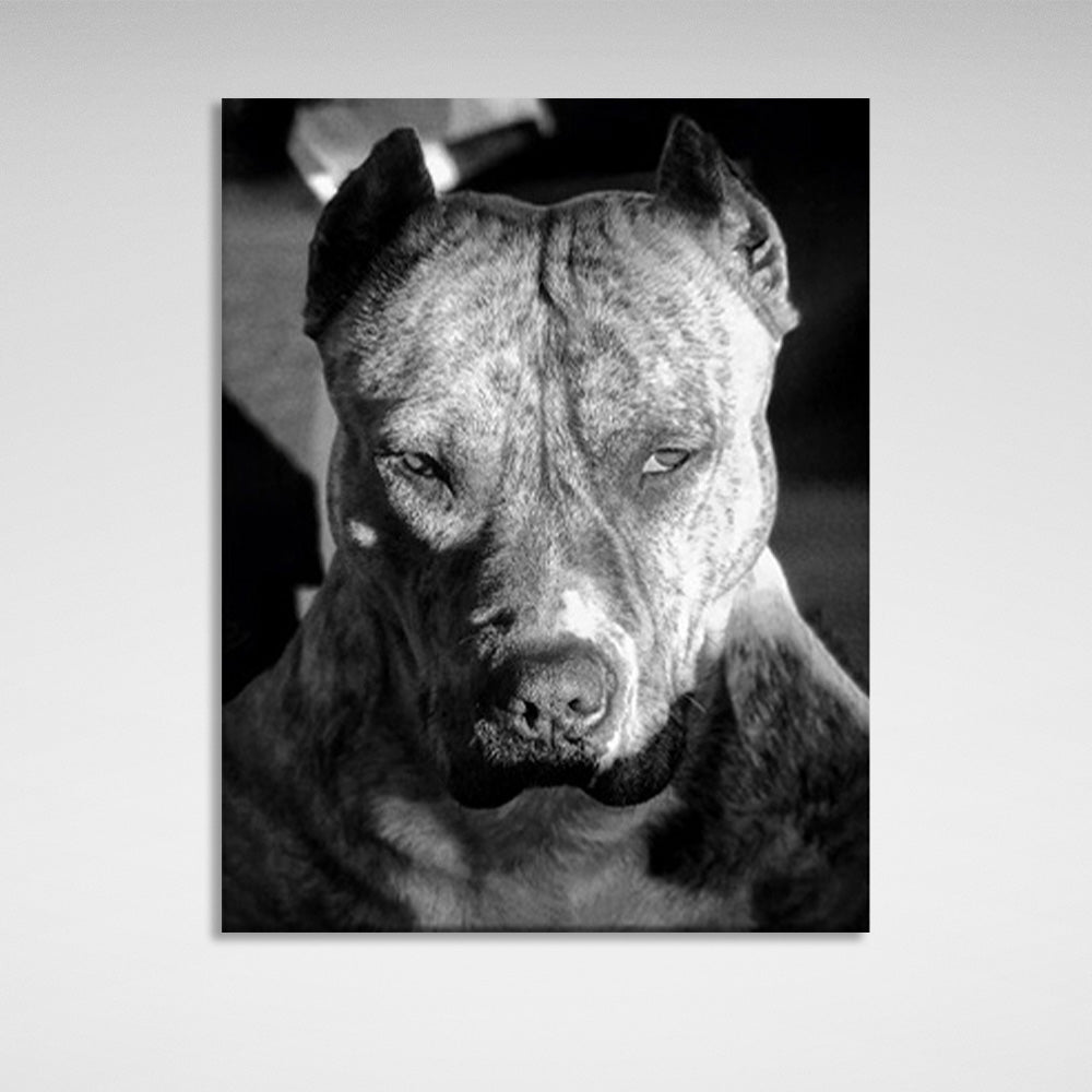 Pitbull terrier Canvas Wall Art Print