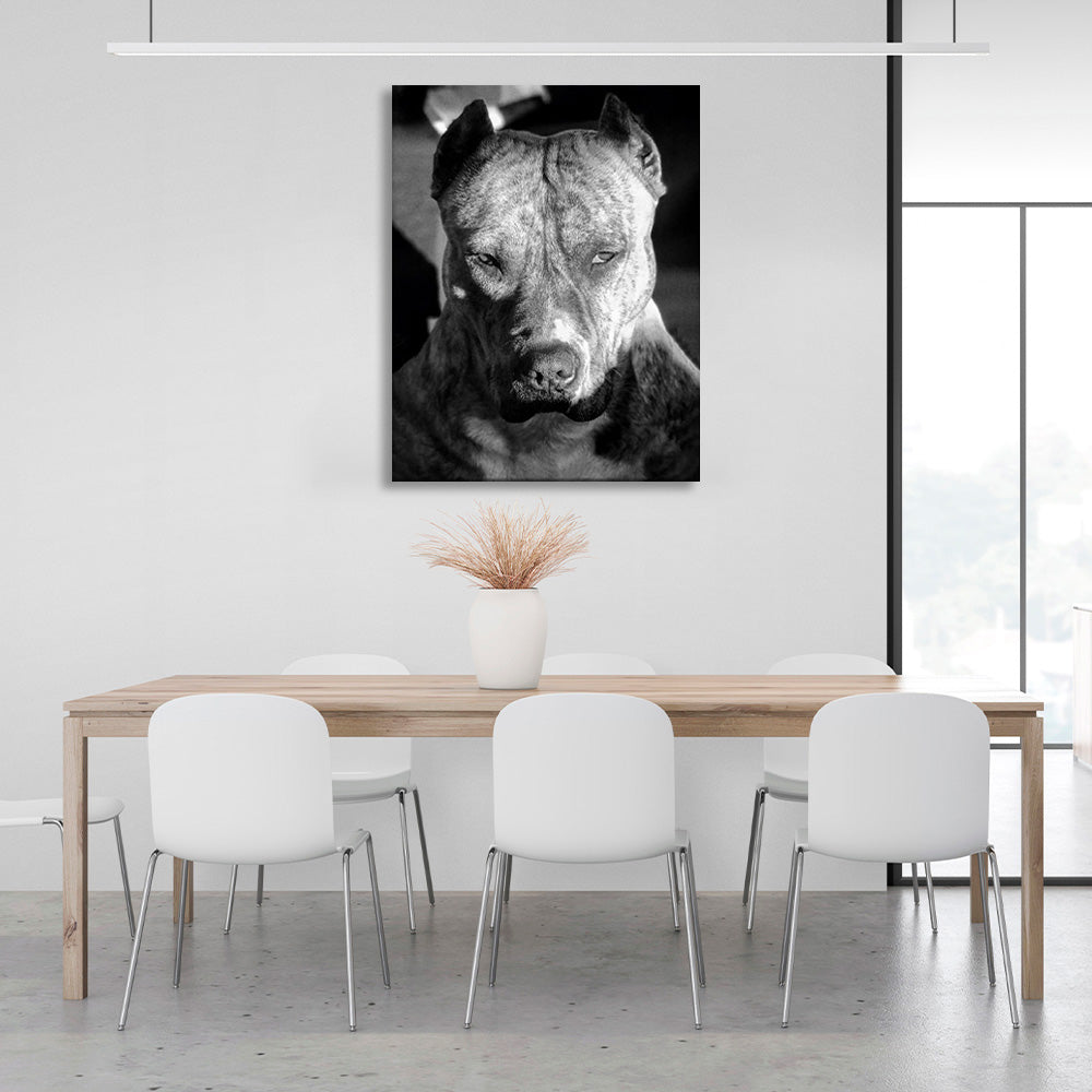 Pitbull terrier Canvas Wall Art Print