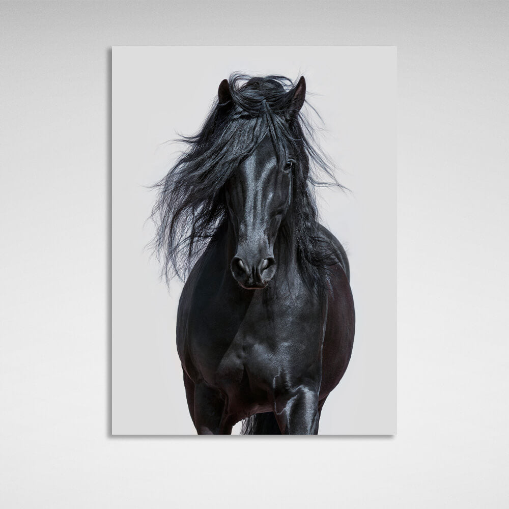 Black Horse Canvas Wall Art Print