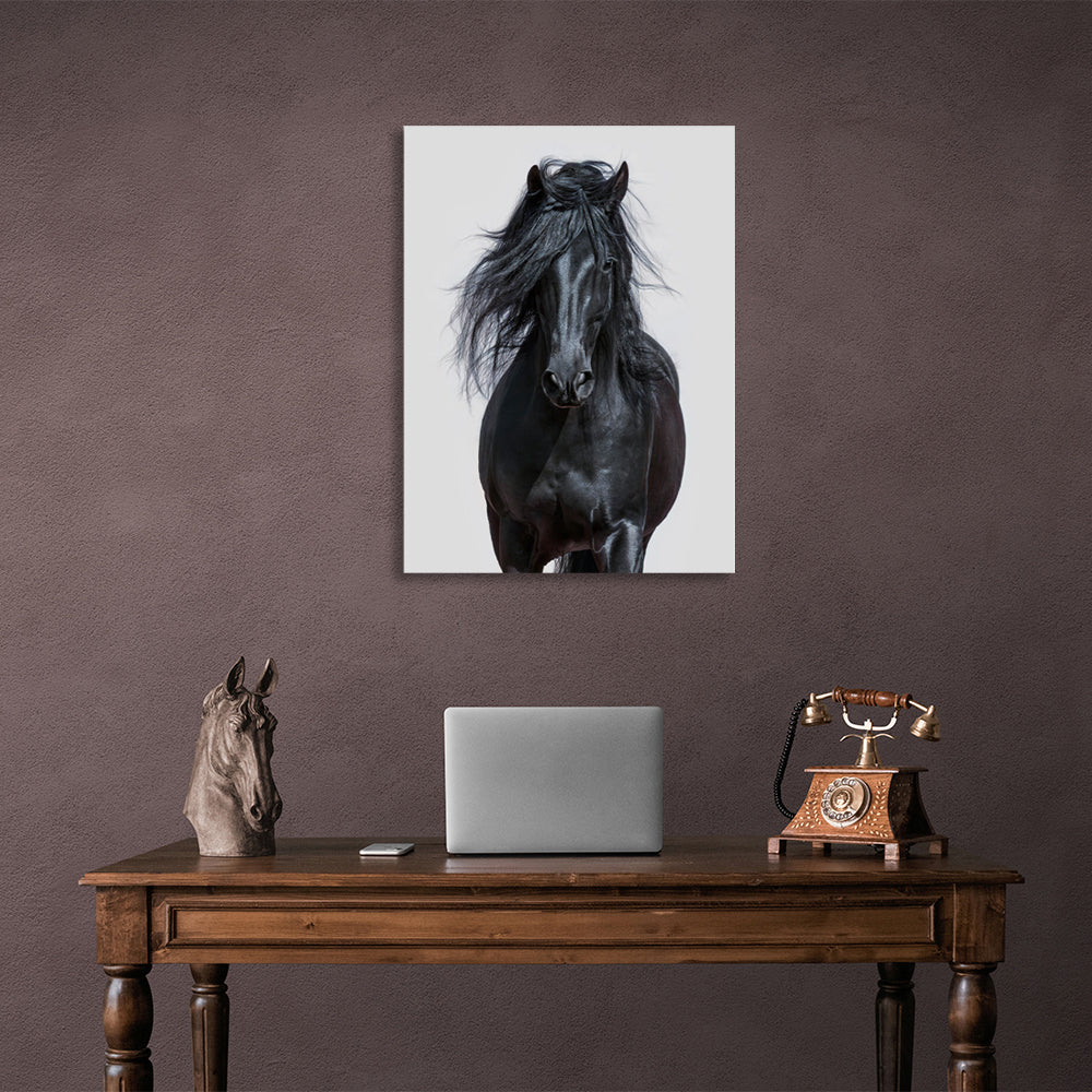 Black Horse Canvas Wall Art Print