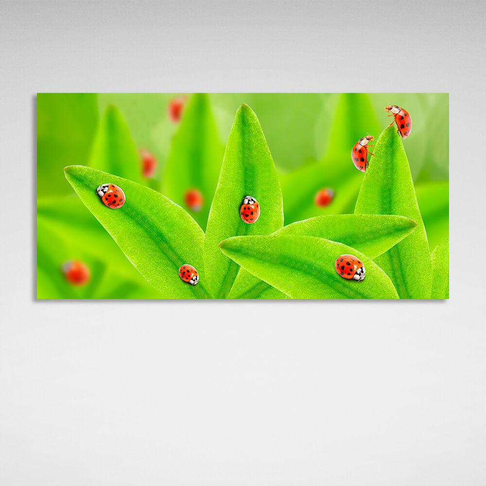 Green leaves and ladybugs Canvas Wall Art Print