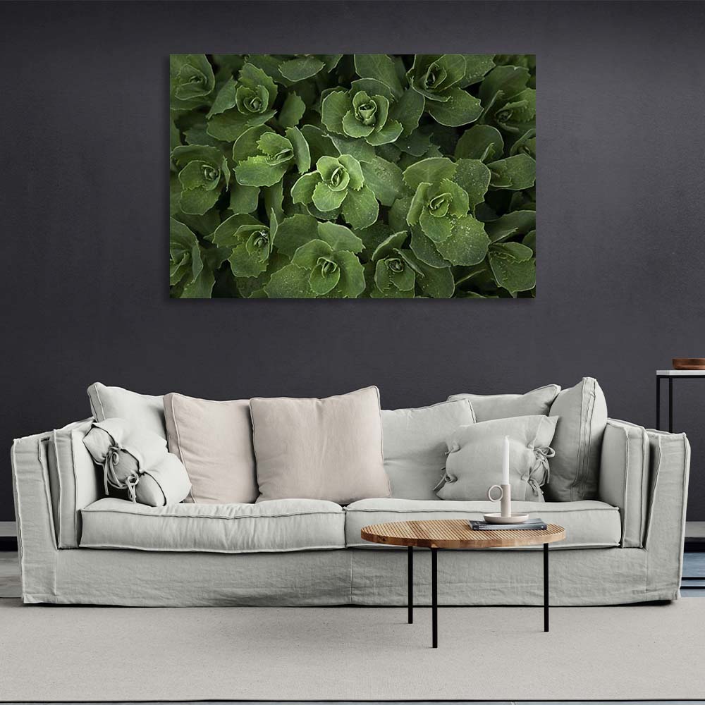 Kunstdruck auf Leinwand, Sedum-Busch