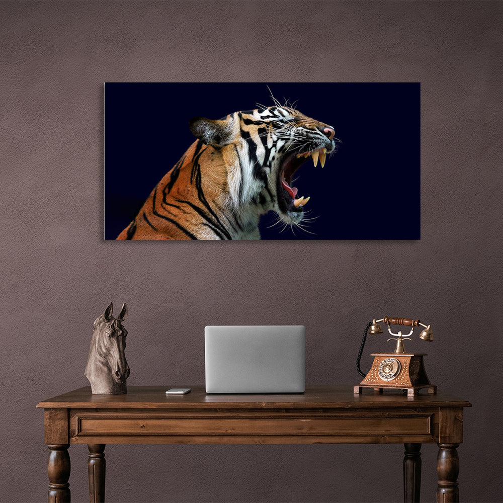 Kunstdruck auf Leinwand, Motiv „Brüllende Tigerin auf dunkelblauem Hintergrund“