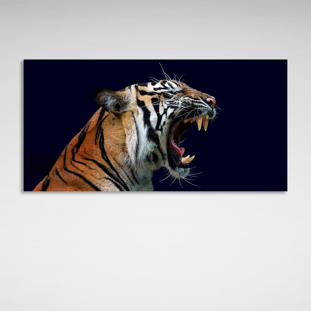 Kunstdruck auf Leinwand, Motiv „Brüllende Tigerin auf dunkelblauem Hintergrund“