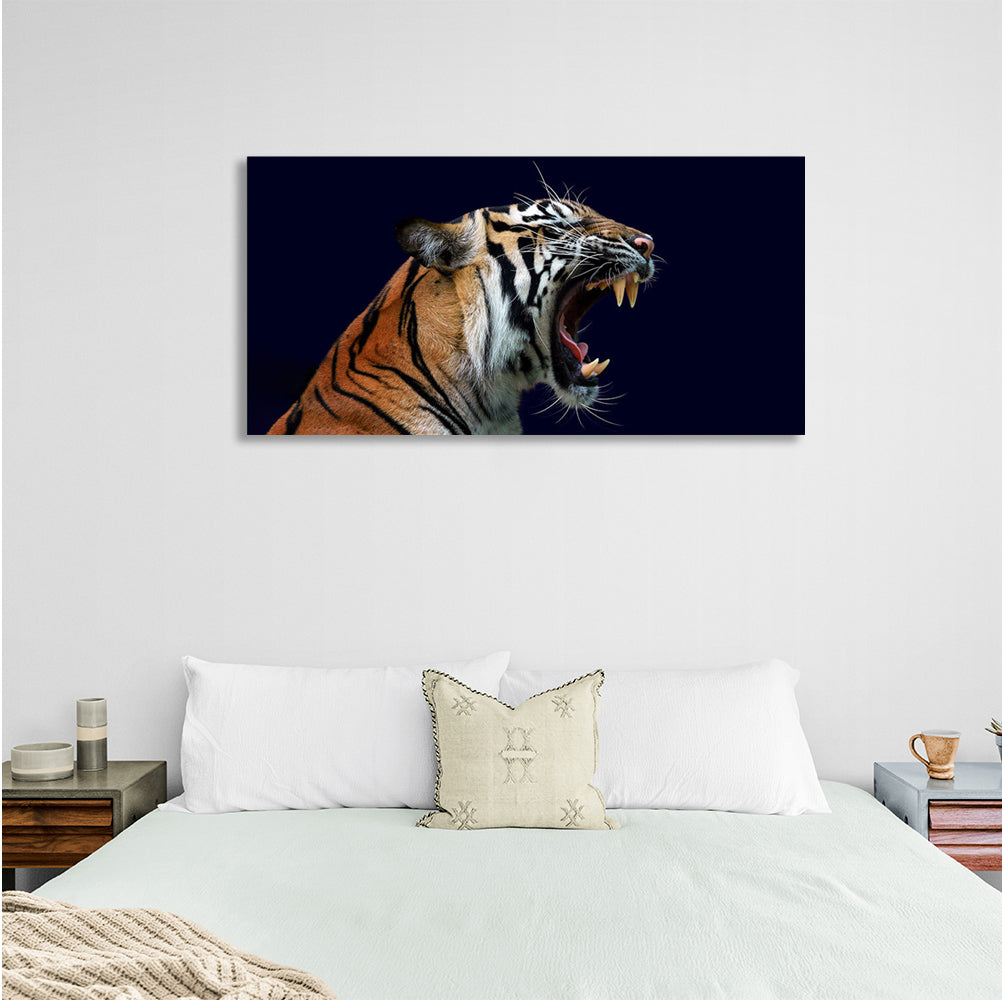 Kunstdruck auf Leinwand, Motiv „Brüllende Tigerin auf dunkelblauem Hintergrund“