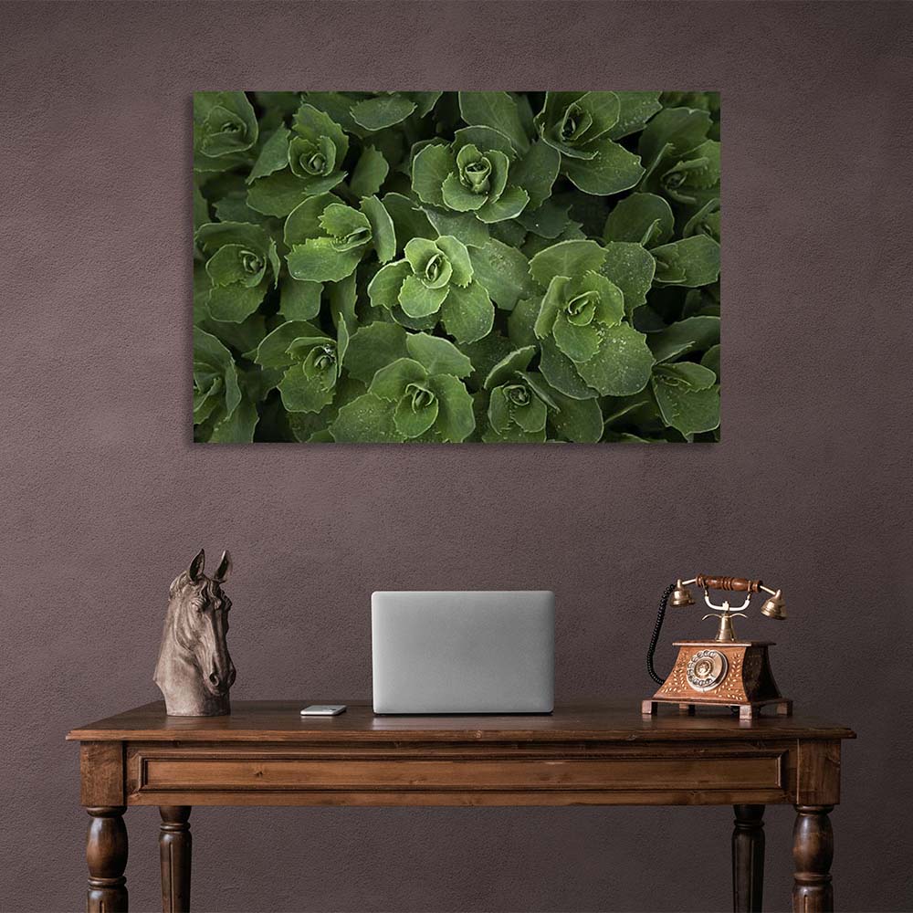 Kunstdruck auf Leinwand, Sedum-Busch