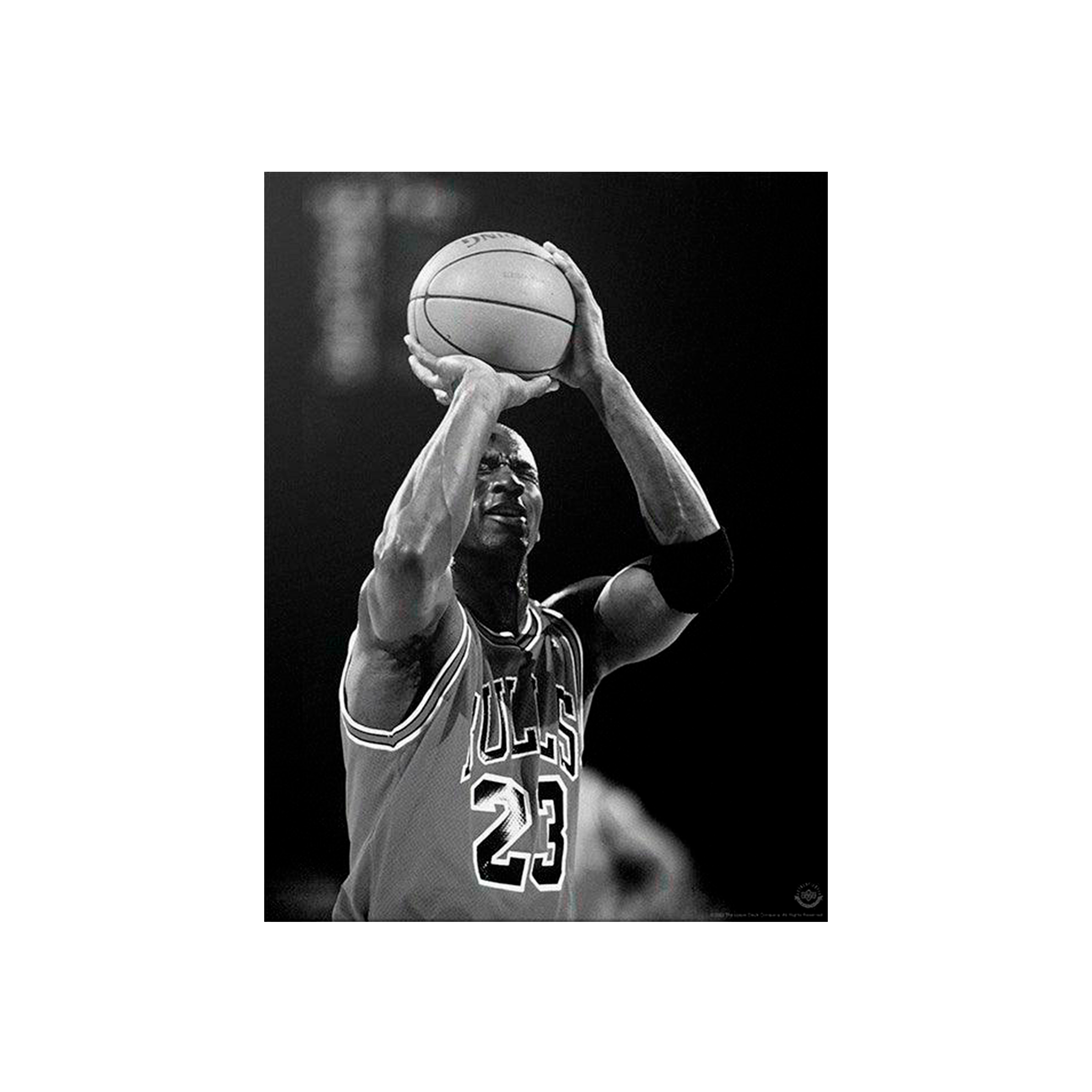 Kunstdruck auf Leinwand, Motiv: Weiße Boxhandschuhe auf weißem Hintergrund