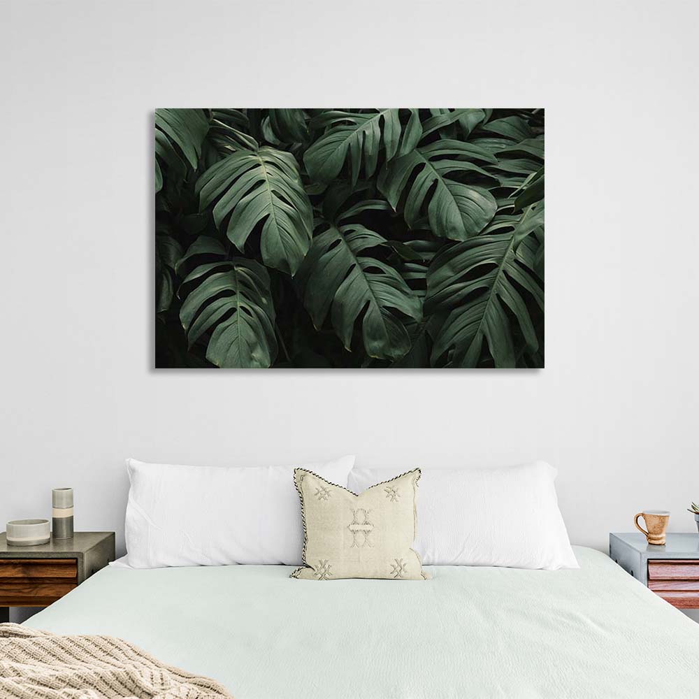 Leinwandbild Monstera Blätter