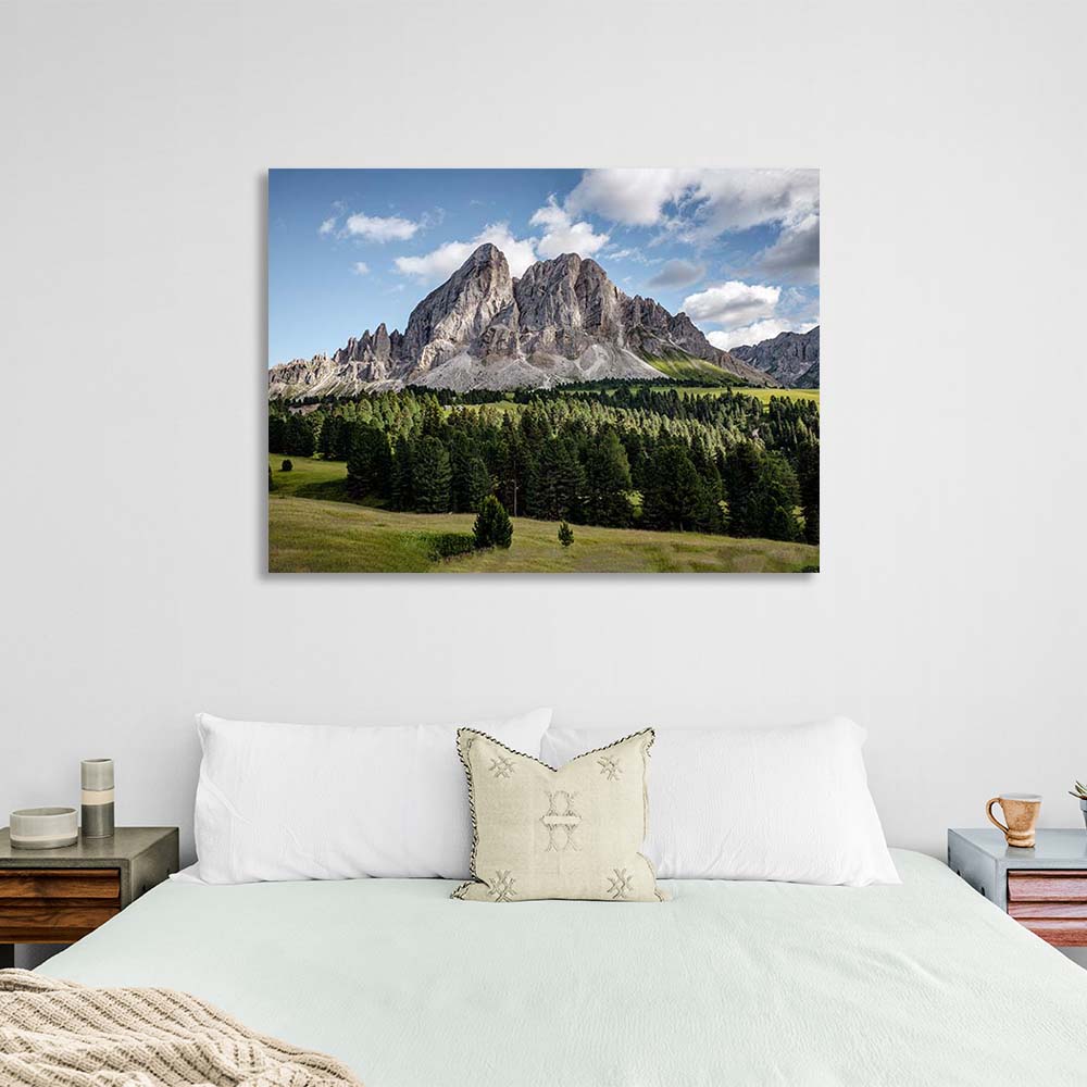 Kunstdruck auf Leinwand, Alpenwald