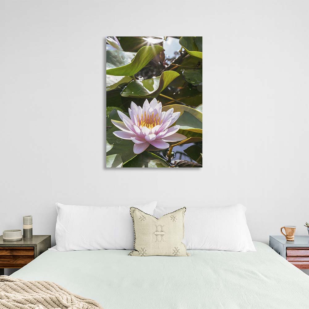 Kunstdruck auf Leinwand, Lotusblume