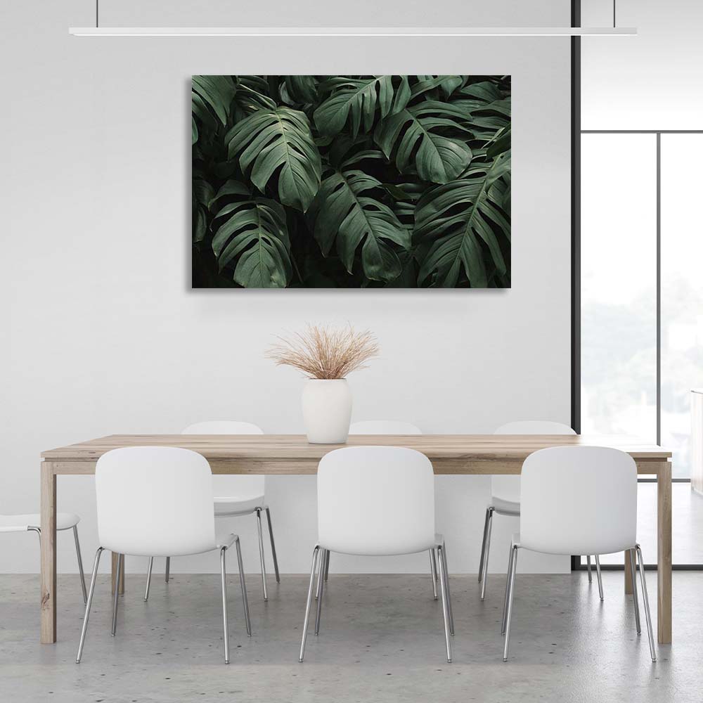 Leinwandbild Monstera Blätter