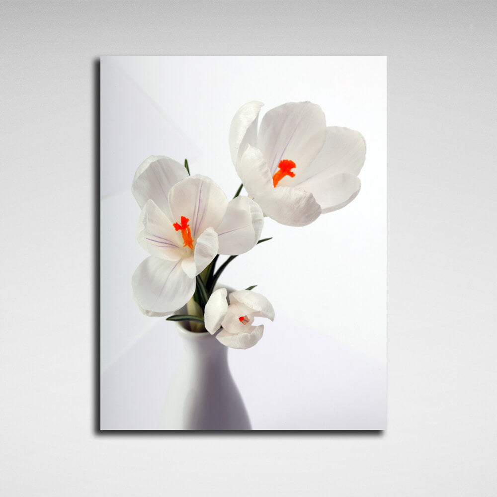 Interior Snowdrops Canvas Wall Art Print