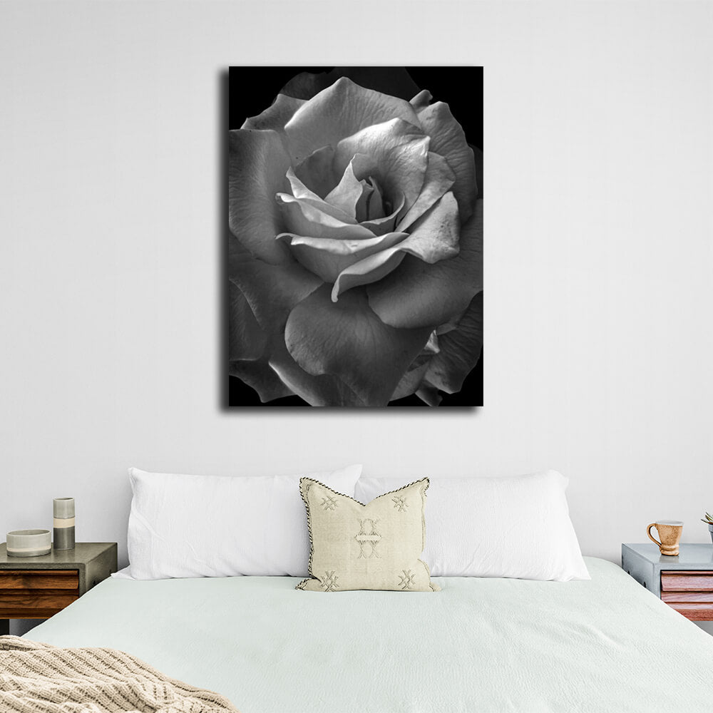 Kunstdruck auf Leinwand mit schwarzer und weißer Rose im Interieur-Stil