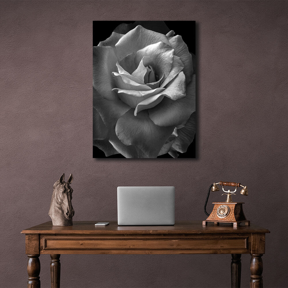 Interior Black and white rose Canvas Wall Art Print