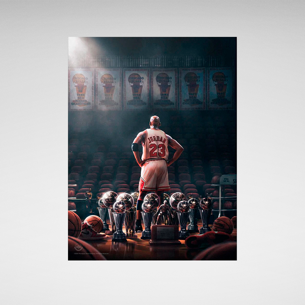 Kunstdruck auf Leinwand, Motiv: Weiße Boxhandschuhe auf weißem Hintergrund