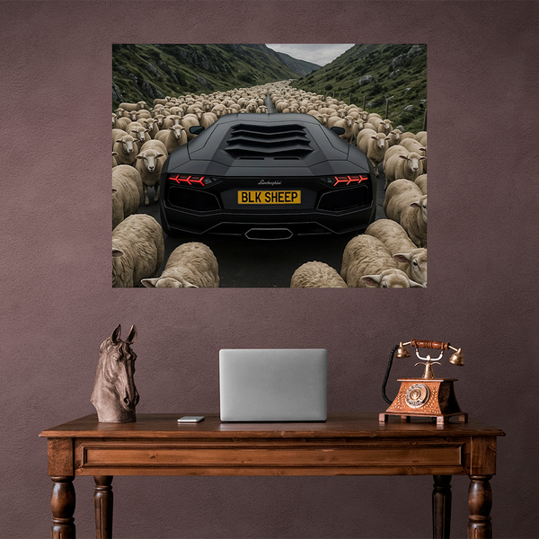 Black Sheep Lamborghini – Stand Out From the Crowd Canvas Wall Art