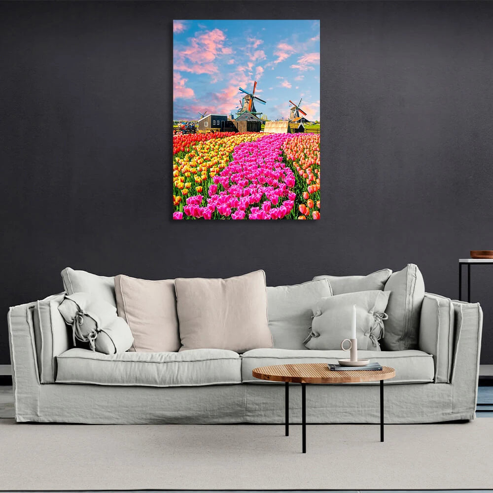 Ein Tulpenfeld in der Nähe der Mühlenhäuser. Kunstdruck auf Leinwand