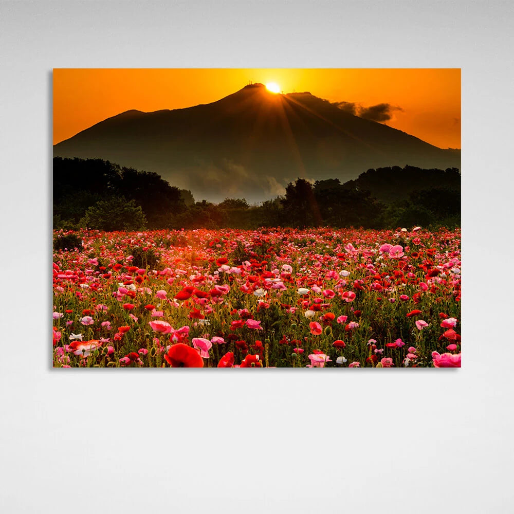 Kunstdruck auf Leinwand, Motiv: Ein Feld mit Mohnblumen vor dem Hintergrund von Wald, Bergen und Sonnenuntergang