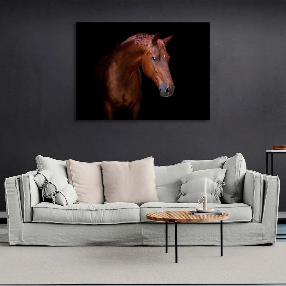 Kunstdruck auf Leinwand, Motiv: Braunes Pferd auf schwarzem Hintergrund