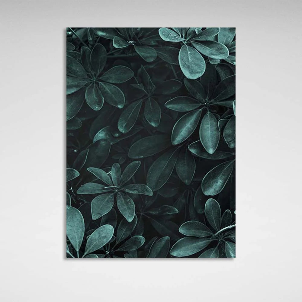 Leinwandbild, Wandbild, Schefflera-Busch