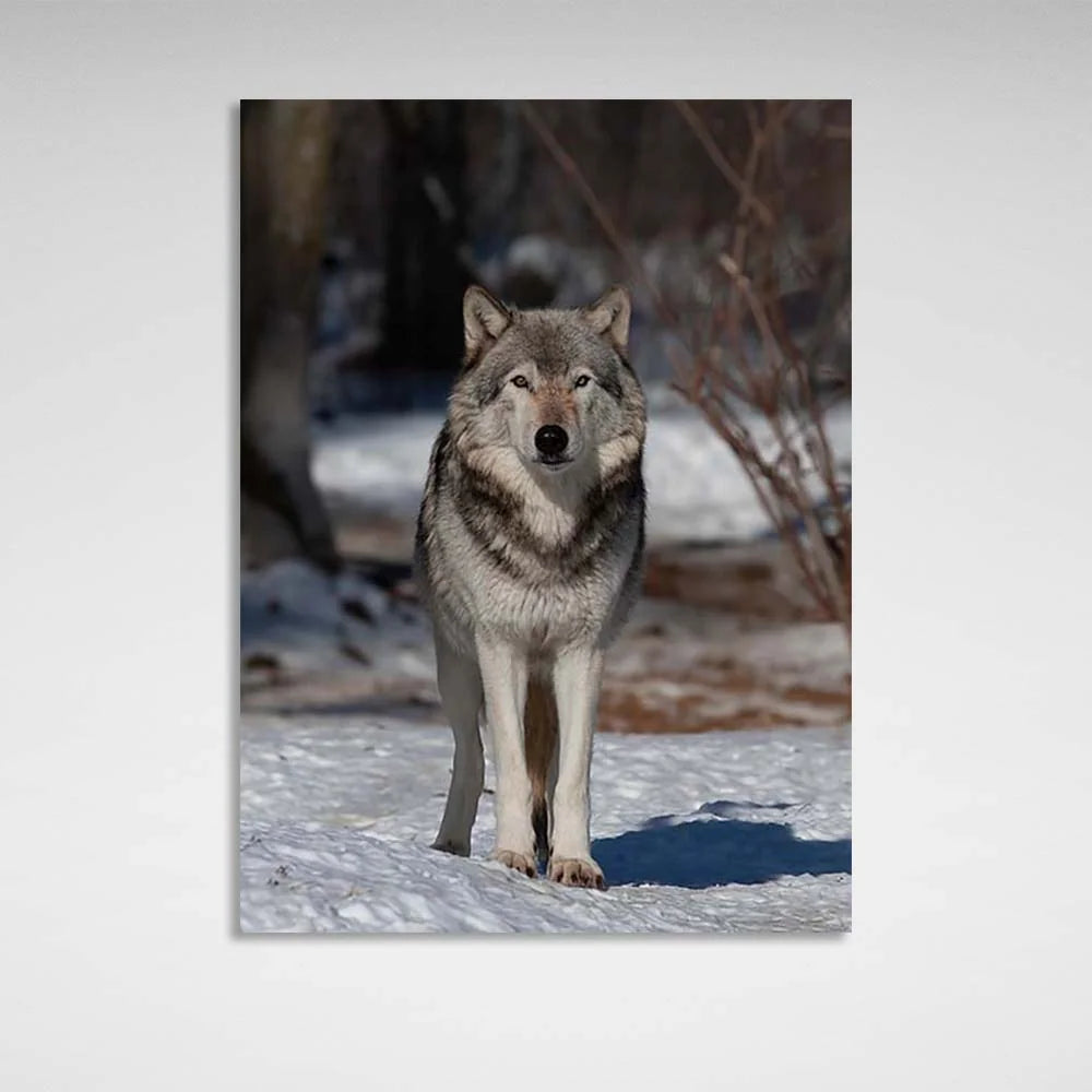 Leinwandbild Wolf im Winterwald