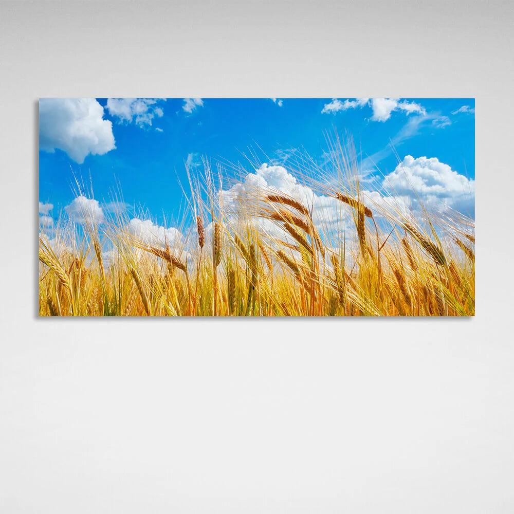 Kunstdruck auf Leinwand, Motiv: Weizenähren vor dem Hintergrund eines blauen Himmels mit Wolken